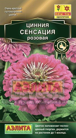 Однолетние сорта цветов описание и Однолетние сорта цветов описание и